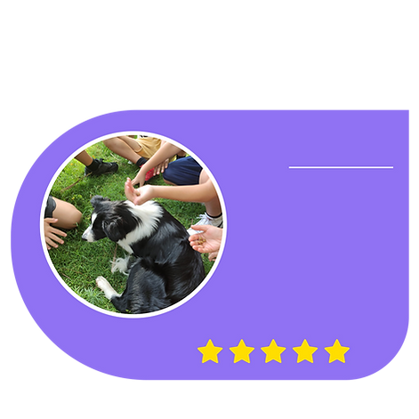 לקוחות ממליצים דף נחיתה copy.png