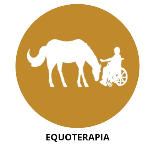 WhatsApp Image 2025-11-25 at 10.58.43.jpeg