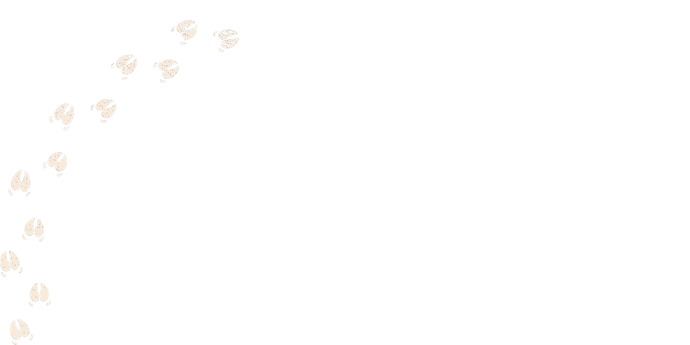 Minimalistic Creative Agency Business Banner 2.png.PNG