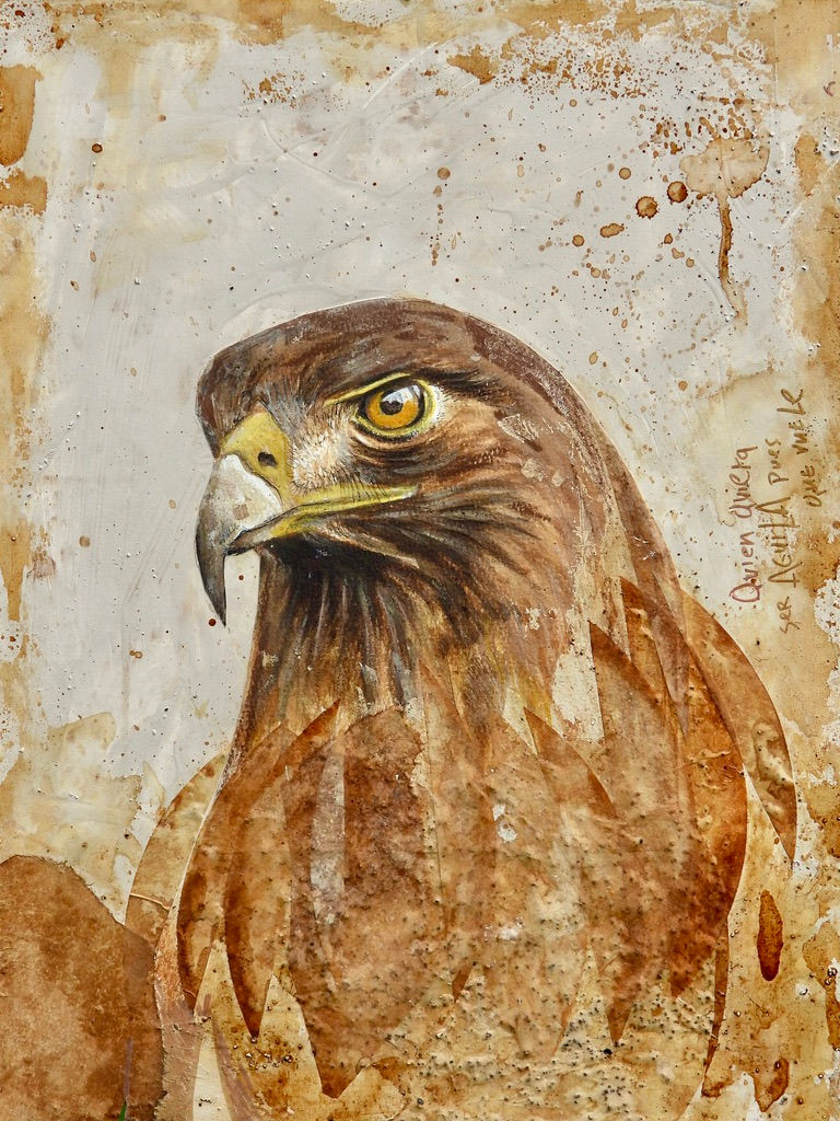 37D224FC-2288-4F78-8417-138BB3DE6B4B_1_105_c