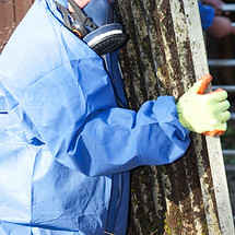 Contractor Carrying Asbestos Board