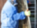 Worker carrying asbestos board