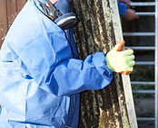 Worker Carrying Asbestos Board