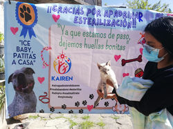 233895306_1494655610872597_2448272558006030892_n