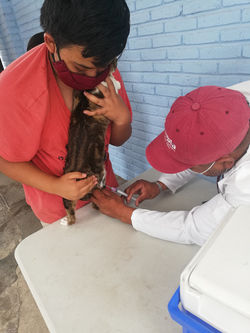 212681401_1477969382541220_667579632974960047_n