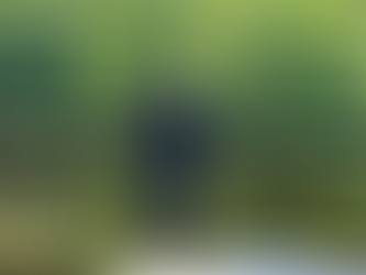 𝐅𝐢𝐬𝐡 & 𝐏𝐢𝐭𝐜𝐡