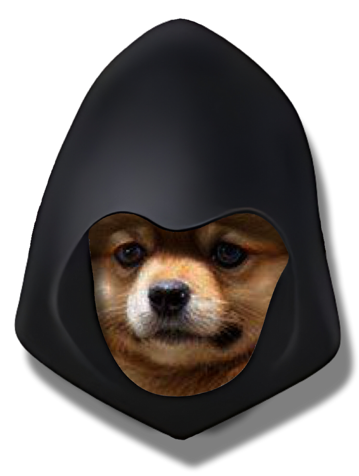 IMG_8659.png