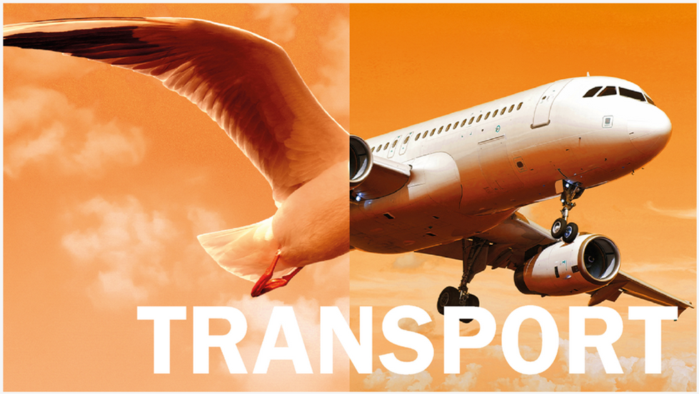 We Can Have A Future - Transport Header