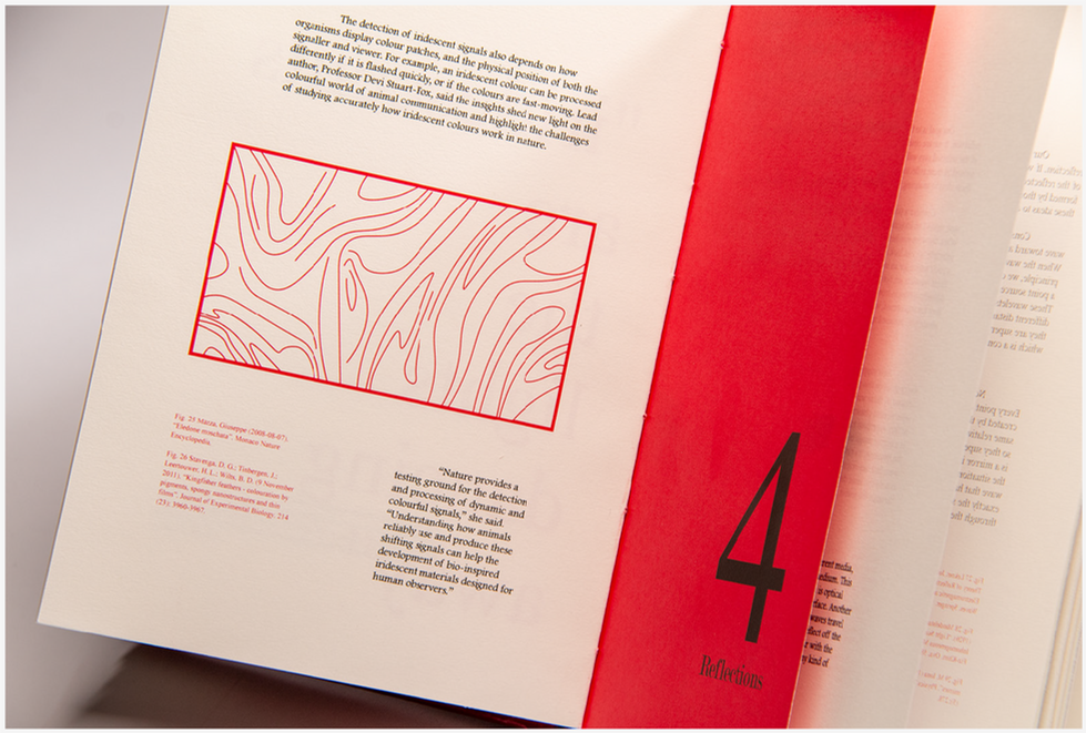 You Can Never See Now - Interior 6