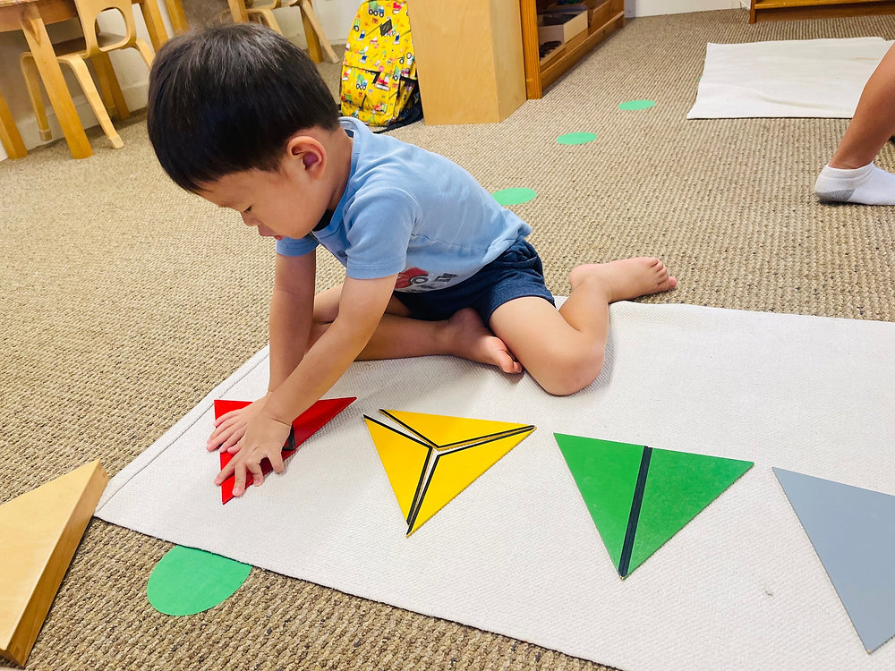 normalization-in-the-montessori-classroom