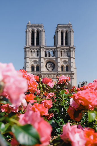 Notre-Dame-pexels-shvets-anna-2564247.jpeg