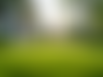 Transform Your Business with Commercial Lawn Care