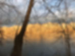 Frenchtown Heading.jpeg