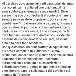 Il cavaliere