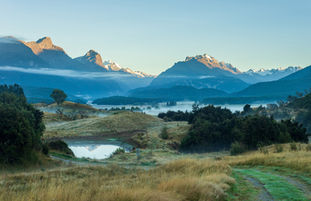 The 25th Paradise Plates: The perfect place to see Pekapeka and to put plastic in its place!