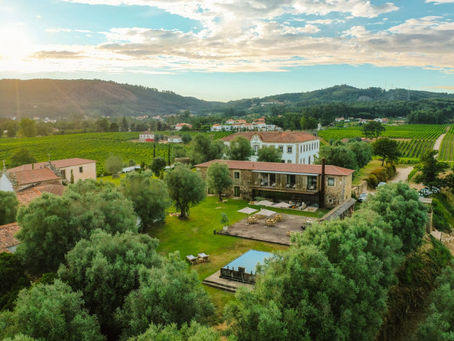 Descansar nos vinhedos dos vinhos verdes