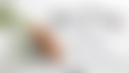 Sete alimentos que ajudam a proteger a sua visão