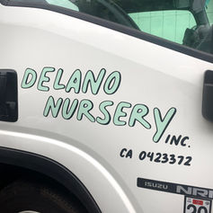 DELANO NURSERY2.jpeg