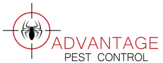 advantage-logo.png
