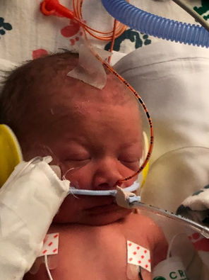 Baby Barrett 3