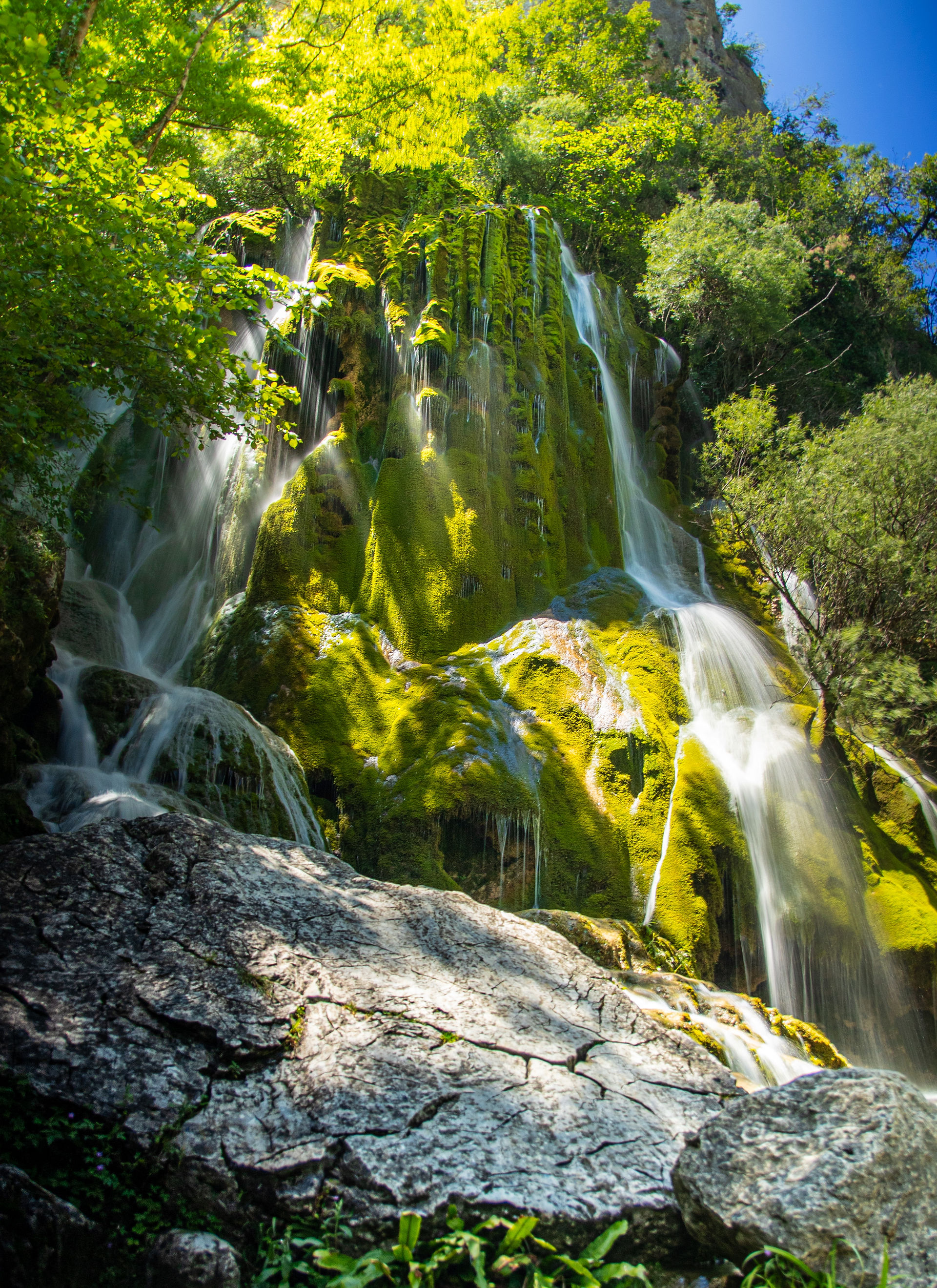 Cascade verdoyante et rocheuse