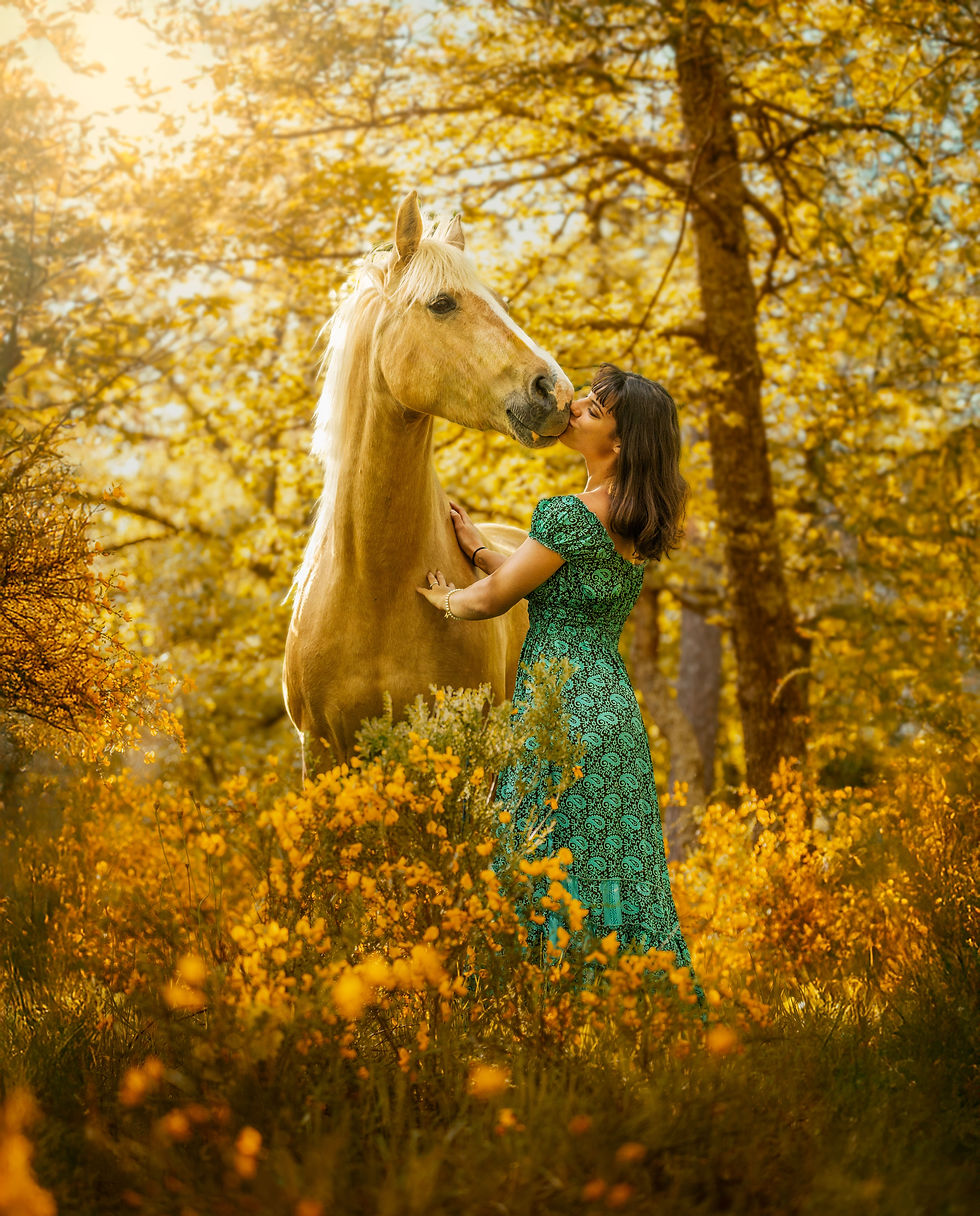Photo féérique cheval