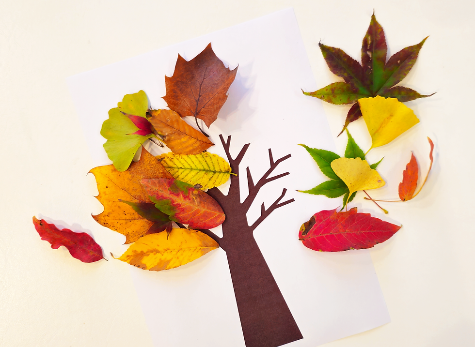 Free Printable Fall Leaf Templates for Kid Crafts