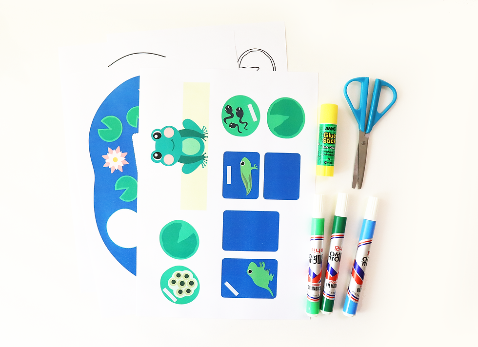 Life Cycle of a Frog Craft