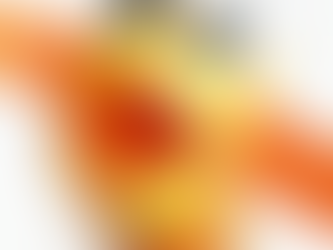 Origami Bird Cootie Catcher