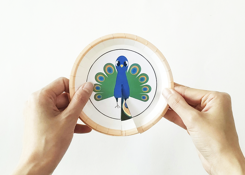 Animal Pattern Matching Craft Printable for Kids | Paper Plate Animal Craft