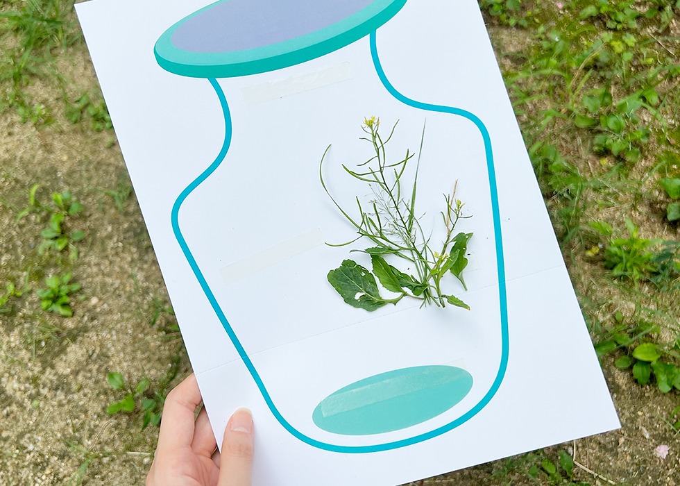 Bug Art Activity for Kids Printables