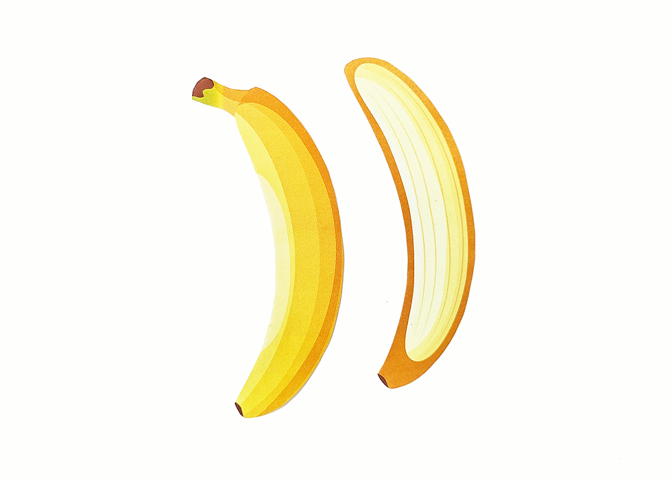 Fruit Whole and Half Crafts Printable