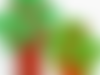 Toilet Paper Roll Tree Craft