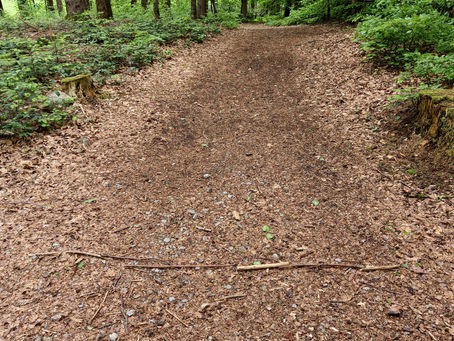 Antworten finden in der Natur. Ein Schwellenritual