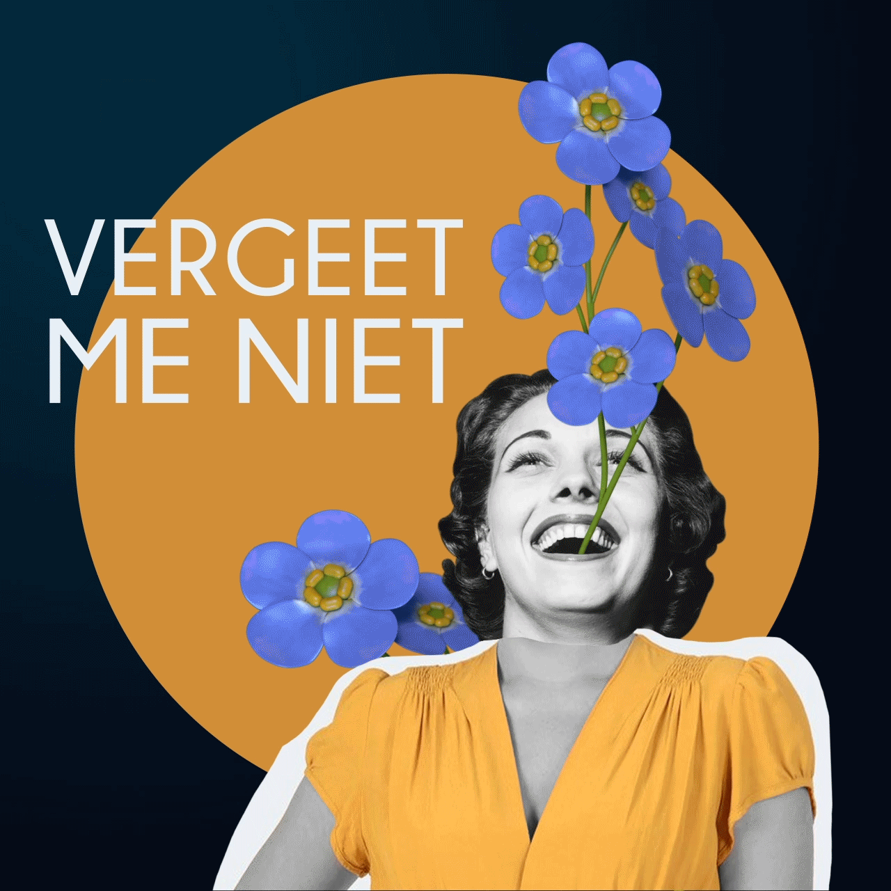 vergeet_me_niet_oranje_v01.gif
