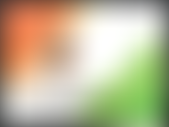 Viet Nam : le 9ème carnet de l’année !