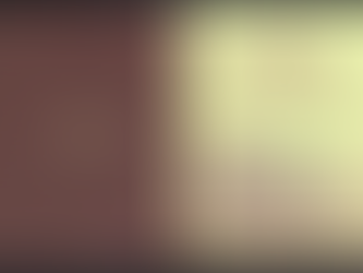 La poste vietnamienne honore un peintre localement illustre