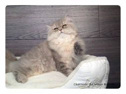 12278783_794830773995646_1799190691706503885_n