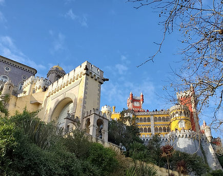 IMG_20191208_081022_470 (1).jpg