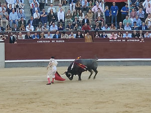 20191005_190606 (1).jpg