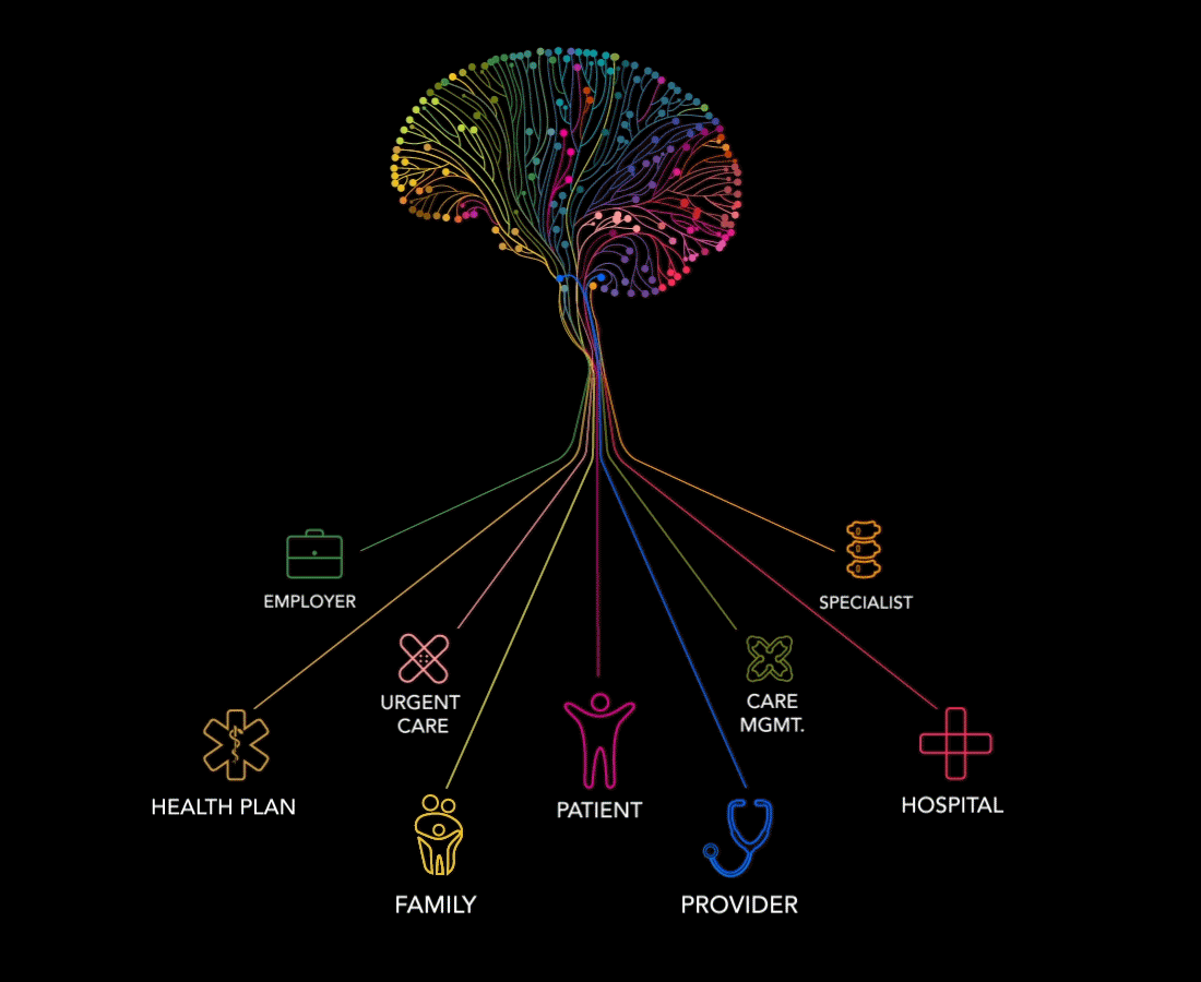 the medial brain stakeholders