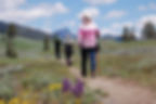 People on a professionally guided hiking safari in Yellowstone's beautiful Lamar Valley