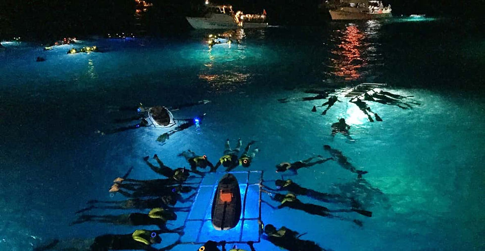 People snorkeling at night near Kona on the Big Island of Hawaii