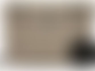 Camping Cooler FAQ: Choosing the Best Options for Bear Country