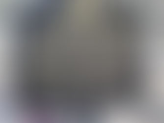 An Itasca Itinerary Example of How to Plan a Solo Day Trip with Your Dog