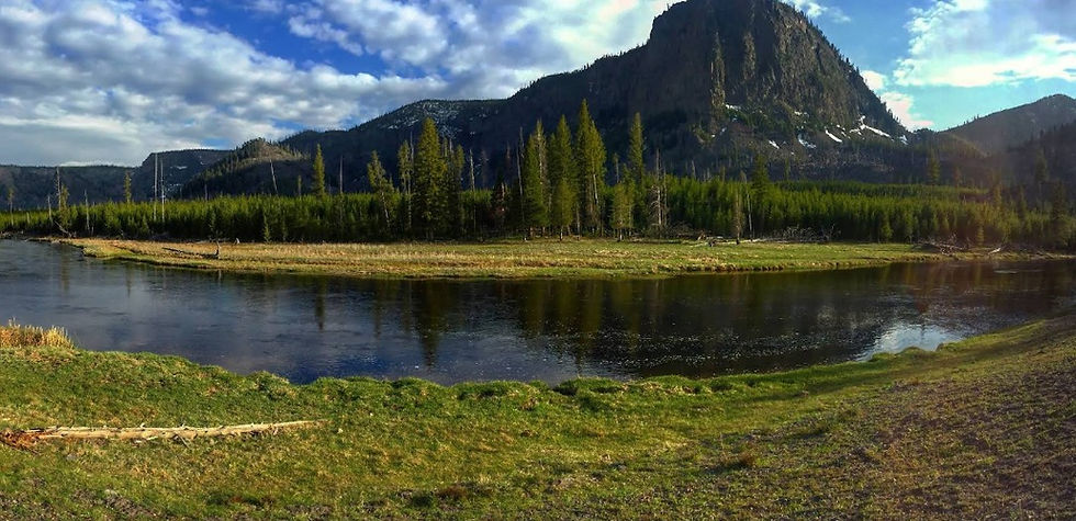 Yellowstone River in the Lamar Valley.
