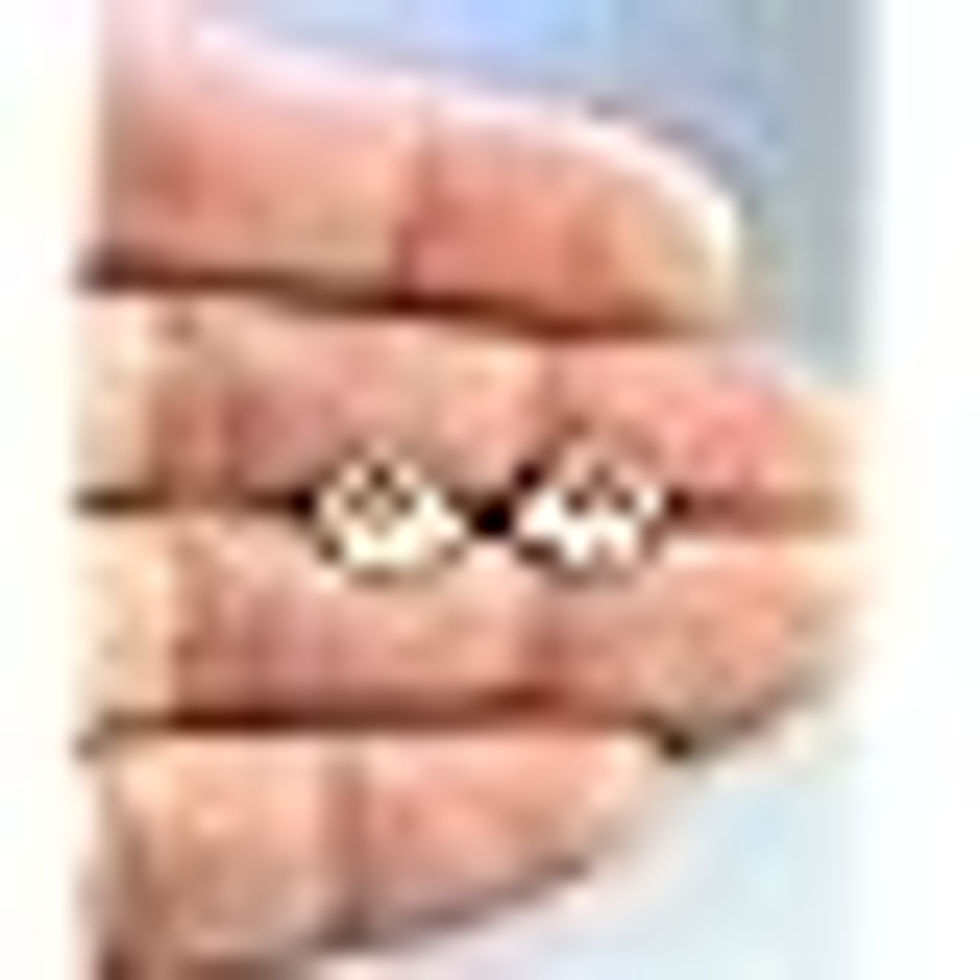 Sterling Silver Hedgehog Stud Earrings for Women