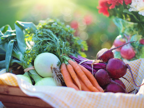 5 Simple Ways To Introduce The Farm To Table Movement For Kids