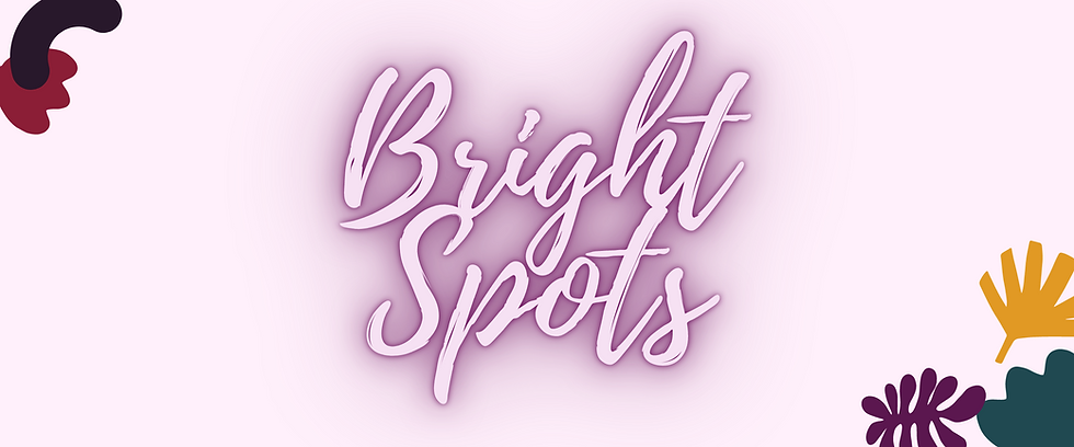 A banner reading "Bright Spots" and links to Spitfire's donate page