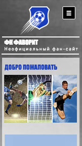 Спорт и отдых website templates – Спортивный фан-клуб
